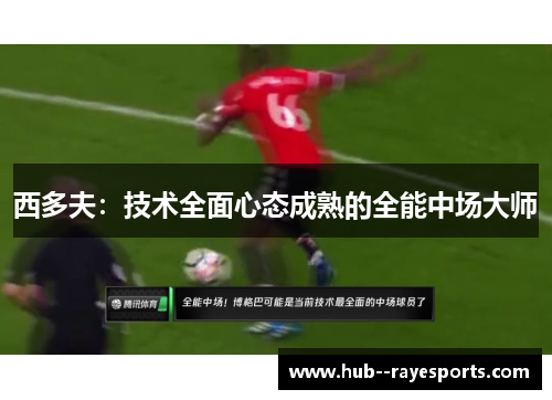 西多夫:技术全面心态成熟的全能中场大师 西多夫:技术全面心态成熟的全能中场大师