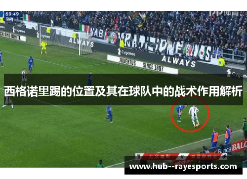 西格诺里踢的位置及其在球队中的战术作用解析