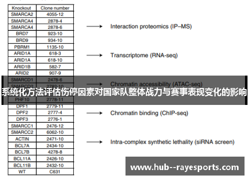 系统化方法评估伤停因素对国家队整体战力与赛事表现变化的影响