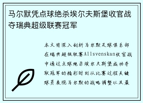 马尔默凭点球绝杀埃尔夫斯堡收官战夺瑞典超级联赛冠军 马尔默凭点球绝杀埃尔夫斯堡收官战夺瑞典超级联赛冠军